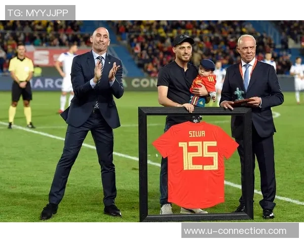 波黑足球历史上的传奇明星球员全景回顾与成就分析